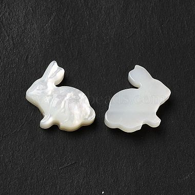 Natural White Shell Beads(BSHE-E026-08)-3