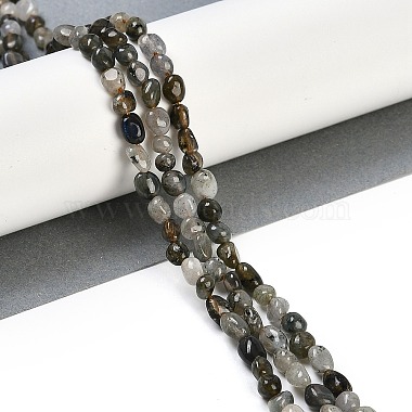 Natural Labradorite Beads Strands(G-P497-01B-03)-2