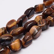 Natural Tiger Eye Bead Strands, Tumbled Stone, Nuggets, 17~25x10~18x7~16mm, Hole: 1.5mm, about 22~25pcs/strand, 15.75 inch(G-K153-D18)
