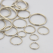 Mixed Iron Split Key Rings, Keychain Clasp Findings, Platinum, 15~30mm, Inner diameter: 12~28mm(IFIN-X0029)