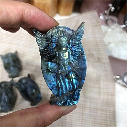 Dyed Natural Labradorite Carved Display Decorations, Figurine Home Decoration, Reiki Energy Stone for Healing, Angel & Fairy, 40~60mm(PW-WG38302-01)