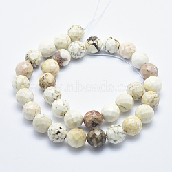 Natural Magnesite Beads Strands, Faceted, Round, 10mm, Hole: 1mm, about 38pcs/strand, 15.7 inch(X-G-K226-10mm-01)
