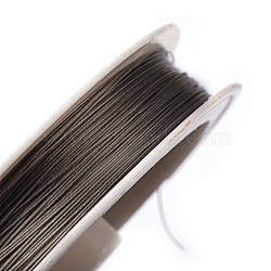 Tiger Tail Wire, Nylon-coated Stainless Steel, Original Color(Raw), Raw, 1.0mm, about 26.24 Feet(8m)/roll, 10 rolls/group(TWIR-R005-1.0mm-09)