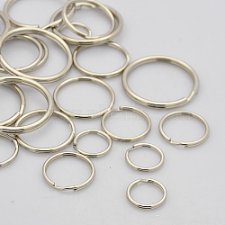 Mixed Iron Split Key Rings, Keychain Clasp Findings, Platinum, 15~30mm, Inner diameter: 12~28mm(IFIN-X0029)