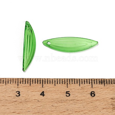 Transparent Acrylic Pendants(AC-CBA5040-01D)-3