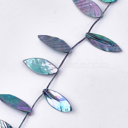 Freshwater Shell Beads Strands, Top Drilled Beads, Dyed, AB Color, Leaf, Light Sea Green, 39~55x11~25x4~9mm, Hole: 1mm, about 14~16pcs/strand, 15.3 inch(X-SHEL-T012-51C)