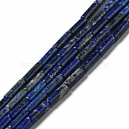 Natural Lapis Lazuli Beads Strands, Column, 13.5~14x4mm, Hole: 1.4mm, about 29pcs/strand, 15.63''(39.7cm)(G-I326-05A)