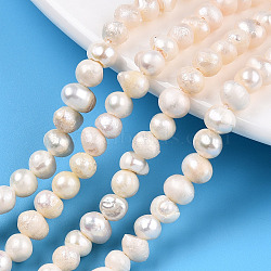 Natural Cultured Freshwater Pearl Beads Strands, Potato, Seashell Color, 4~5.5x3.5~5mm, Hole: 0.6mm, about 74~76pcs/strand, 13.31~13.46 inch(33.8~34.2cm)(PEAR-N013-04E)