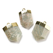 Natural Amazonite Pendants, Faceted Bullet Charms with Rack Plating Golden Plated Brass Findings, 24.5~25x16~16.5x7~7.5mm, Hole: 2.3mm(G-M431-05G-04)