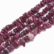 Freshwater Shell Beads Strands, Dyed, Chip, Medium Violet Red, 4~14x4~8x1~8mm, Hole: 1mm, about 210~250pcs/strand, 31.4 inch(X-SHEL-S270-06)