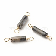 Natural Larvikite Connector Charms, with Light Gold Eco-Friendly Copper Wire Wrapped, Column, 22~23.5x4mm, Hole: 2.2~2.4mm(PALLOY-JF01454-05)