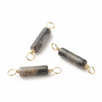 Natural Larvikite Connector Charms, with Light Gold Eco-Friendly Copper Wire Wrapped, Column, 22~23.5x4mm, Hole: 2.2~2.4mm