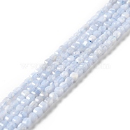 Natural Blue Lace Agate Beads Strands, Faceted, Cube, 2.5x2.5x2.5mm, Hole: 0.7mm, about 170pcs/strand, 15.35''(39cm)(G-D467-A09)
