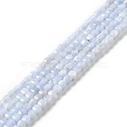 Natural Blue Lace Agate Beads Strands, Faceted, Cube, 2.5x2.5x2.5mm, Hole: 0.7mm, about 170pcs/strand, 15.35''(39cm)(G-D467-A09)