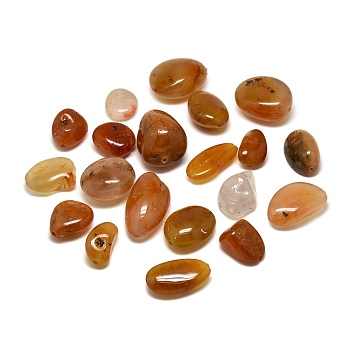 Natural Red Agate Beads, Nuggets, Tumbled Stone, Vase Filler Gems, 26~48x23~35x10~33mm, Hole: 1~2mm, about 37pcs/1000g