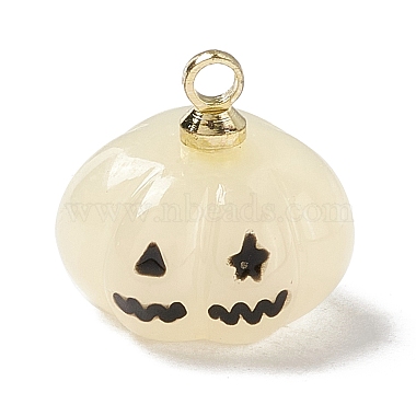 Halloween Opaque Resin Charms(RESI-E018-01E)-2