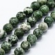 Chapelets de perles en jaspe à pois verts naturels(X-G-I199-30-10mm)-1