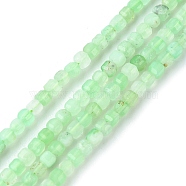 Natural Chrysoprase Beads Strands, Faceted, Cube, 2~2.5x2~2.5x2~2.5mm, Hole: 0.6mm, about 171pcs/strand, 15.35 inch(39cm)(G-F748-X03)