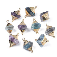 Natural Fluorite Links Connectors, with Light Gold Plated Brass Top and Iron Loop, Bicone, 28~29.5x15~17.5x15~16mm, Hole: 1.8~2mm(G-S359-360)
