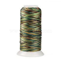 Segment Dyed Round Polyester Sewing Thread, for Hand & Machine Sewing, Tassel Embroidery, Dark Olive Green, 12-Ply, 0.8mm, about 300m/roll(OCOR-Z001-B-12)