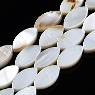 Natural Freshwater Shell Beads Strands, Horse Eye, Seashell Color, 10x5x2mm, Hole: 1mm, about 40pcs/strand, 15.43''(39.2cm)(SHEL-Q024-017)