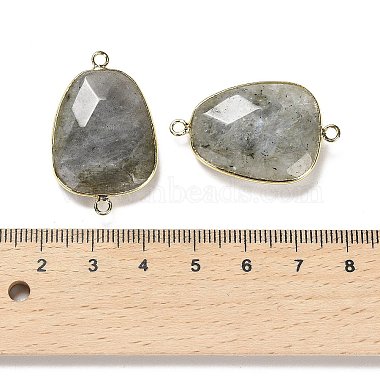 Natural Labradorite Faceted Connector Charms(G-F763-02G-03)-3