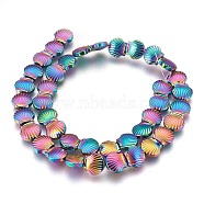 Electroplated Non-magnetic Synthetic Hematite Beads Strands, Polish, Shell, Multi-color Plated, 10.5x10x4mm, Hole: 1mm, about 40pcs/strand, 15.55 inch(39.5cm)(G-P392-L01)