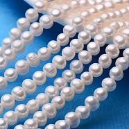 Potato Natural Cultured Freshwater Pearl Beads Strands, Seashell Color, 7~8mm, Hole: 0.8mm, about 53~58pcs/strand, 13.5 inch~14.9 inch(PEAR-E007-7-8mm-AA-01)