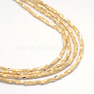 Natural Trochid Shell/Trochus Shell Bead Strands, Oval, Wheat, 3x3mm, Hole: 1mm, about 135~140pcs/strand, 15.7 inch(X-SSHEL-R037-23)