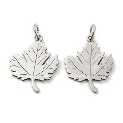 304 Stainless Steel Pendants, with Jump Ring, Laser Cut, Maple Leaf Charm, Stainless Steel Color, 18.5x15x1mm(STAS-H184-05C-P)