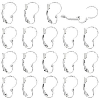 20Pairs 304 Stainless Steel Leverback Earring Findings, with Loop, Stainless Steel Color, 19x13x3.5mm, Hole: 1mm, Pin: 1mm, 30pairs