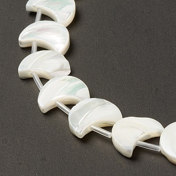Natural Trochid Shell/Trochus Shell Beads Strands, Moon, White, 15x12x3.5mm, Hole: 0.9mm, about 26pcs/strand, 15.55 inch(39.5cm)
