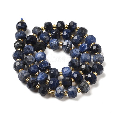 Natural Sodalite Beads Strands(G-P508-A10-01)-3