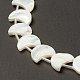 Natural Trochid Shell/Trochus Shell Beads Strands(SHEL-F004-01B)-1