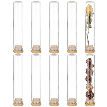 10Pcs Glass Bead Storage Tubes, Bead Containers, with Bamboo Cap, Clear, 3.25x16cm, Inner Diameter: 2.55cm, Capacity: 80ml(2.71fl. oz)