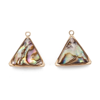 Natural Paua Shell Pendants, with Golden Brass Findings, Triangle, 17.5x17x5.5mm, Hole: 1.6mm