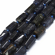 Natural Iolite Beads Strands, Cuboid, 11~13x6~8x6~8mm, Hole: 0.7mm, about 28~31pcs/strand, 15.94''~16.93''(40.5~43cm)(G-O170-102)