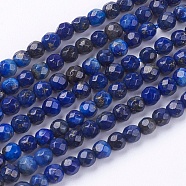 Natural Lapis Lazuli Beads Strands, Faceted, Round, 3mm, Hole: 0.8mm, about 120~130pcs/strand, 15.7 inch(X-G-K020-3mm-23)