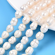 Natural Cultured Freshwater Pearl Beads Strands, Baroque Keshi Pearl Rice Beads, Seashell Color, 8~11x8.5~9mm, Hole: 0.7~0.8mm, about 19pcs/strand, 7.09 inch(18cm)(PEAR-N012-08G)