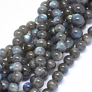 Natural Labradorite Beads Strands, Grade A, Round, 10mm, Hole: 0.8mm, about 40~41pcs/strand, 15.3~16.3 inch(39~41.5cm)(G-F602-04-10mm)