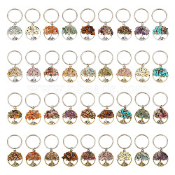 Flat Round with Tree of Life Gemstone Chips Keychains, with Alloy Findings, for Women Bag Car Key Pendant Decoration, 5.5x2.5cm, 36pcs/set(KEYC-AB00055)