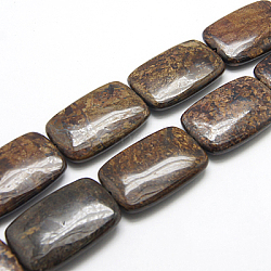 Natural Bronzite Beads Strands, Rectangle, 30x20x7mm, hole: 1mm, about 13pcs/strand, 15.5 inch(G-G229-20x30mm-09)