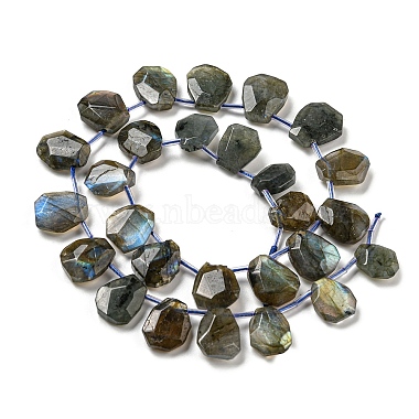 Natural Labradorite Beads Strands(G-Z040-A03-01)-2