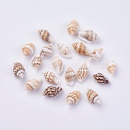 Shell Beads, 10~15x6~9mm, Hole: 1.2mm, about 1500pcs/500g(BSHE-P026-36)