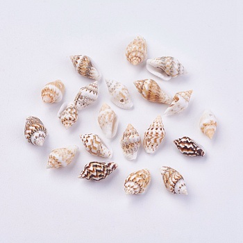 Shell Beads, 10~15x6~9mm, Hole: 1.2mm, about 1500pcs/500g