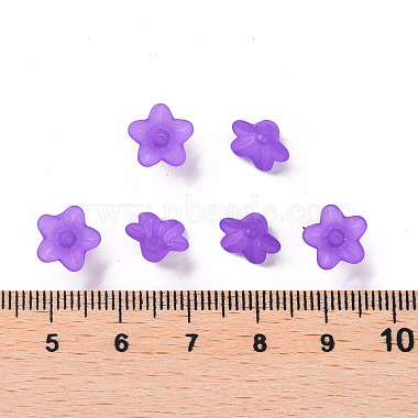 Perles en acrylique transparente(X-PL554-16)-5