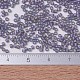 MIYUKI Delica Beads(SEED-X0054-DB0870)-4