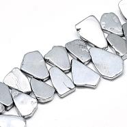 Plated Natural Quartz Crystal Beads Strands, Flat Slab Beads, Nuggets, Platinum Plated, 17~35x12~28x4~6mm, Hole: 1mm, about 40~45pcs/strand(G-R439-33C)