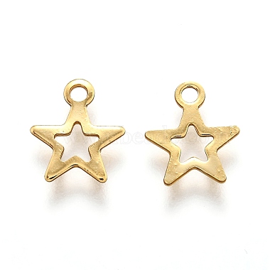 201 Stainless Steel Charms(STAS-B001-28A-G)-2