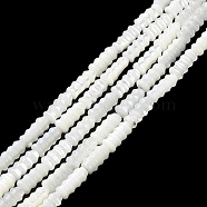 Natural Trochus Shell Beads Strands, Grooved Column Beads, WhiteSmoke, 3.5x8mm, Hole: 0.7mm, about 50pcs/strand, 15.55''(39.5cm)(BSHE-Z003-17)